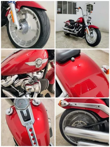 FATBOY 2019