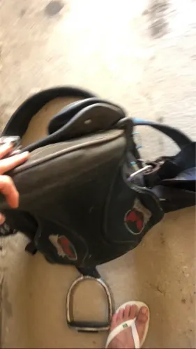 Sela pra vender com cabeçada 