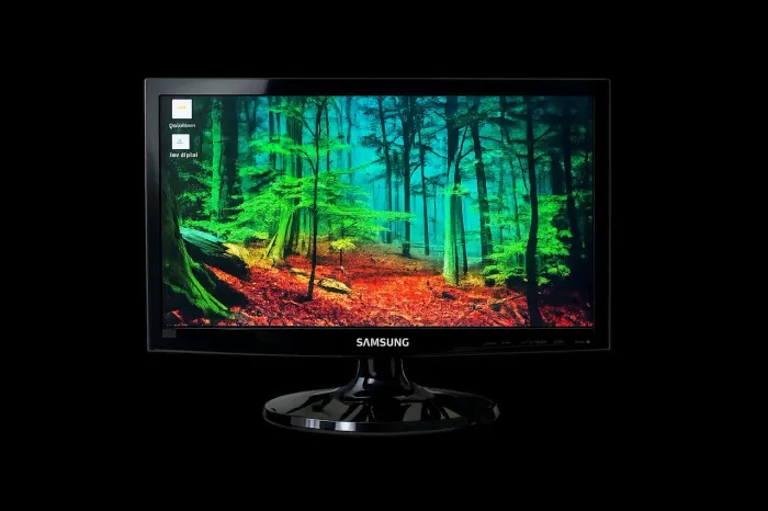 Monitor Samsung 21,5" VGA com adaptador - ótimo estado