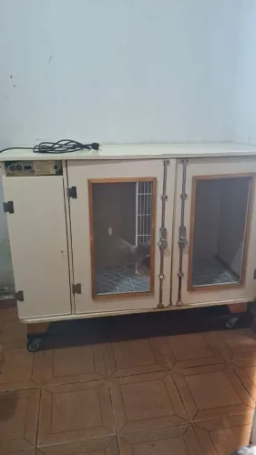 Máquina de secar cachorro