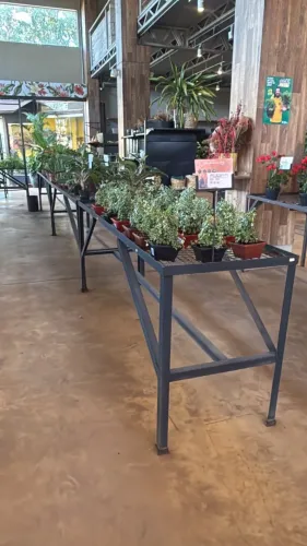 Expositor ideal para plantas - 300x100x80