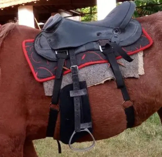 Vende-se arreio de cabeça 3 vezes de uso
