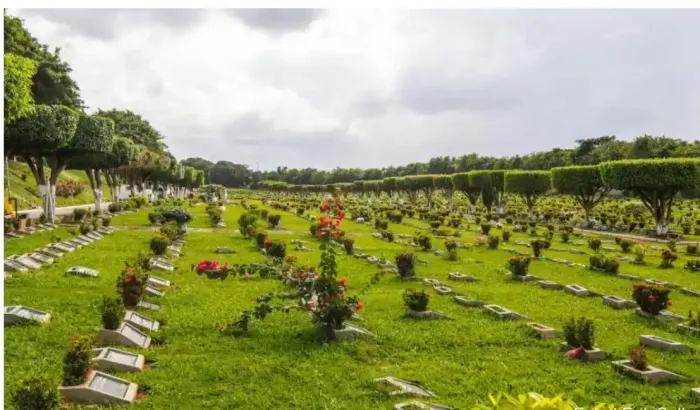 Terreno à venda em Jardim da  Saudade - ótima localização