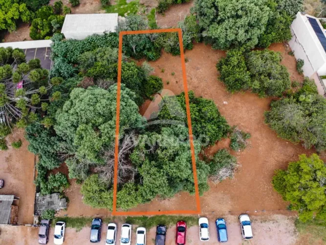 Terreno Padrão em Ponta Grossa