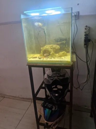Aquário marinho