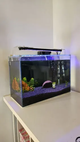 Aquário Completo 45L