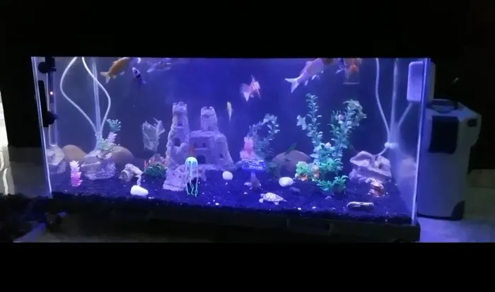 Aquário 200L