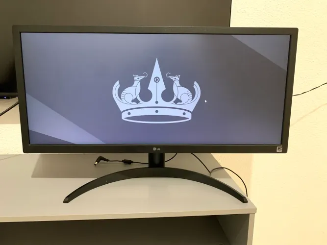 Monitor LG 26WQ500