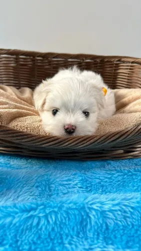 Tenha um dia Feliz !