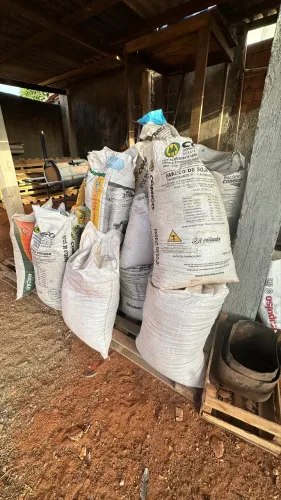 Cama de Frango ( Adubo natural ) melhor para suas plantas