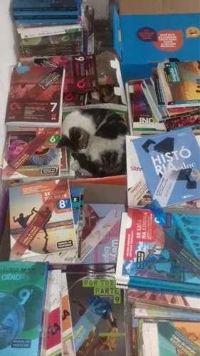 Coleção de livros usados