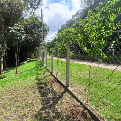 Chácara em Olhos d'Água Campina Grande do Sul Documentação em dia