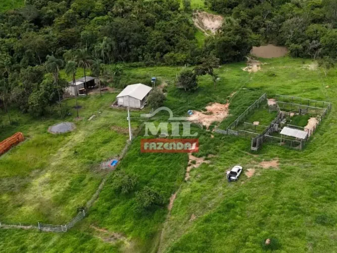 Fazenda 29 alqueires (143 hectares) São Miguel do Passa Quatro - Go
