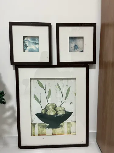 Quadros de luxo (3)