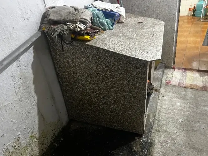 Casa de cachorro 