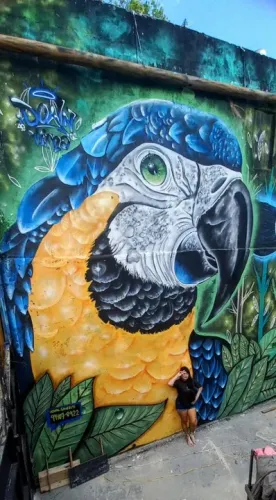 Graffiti grafite grafiteiro graffite desenhista pintor artista