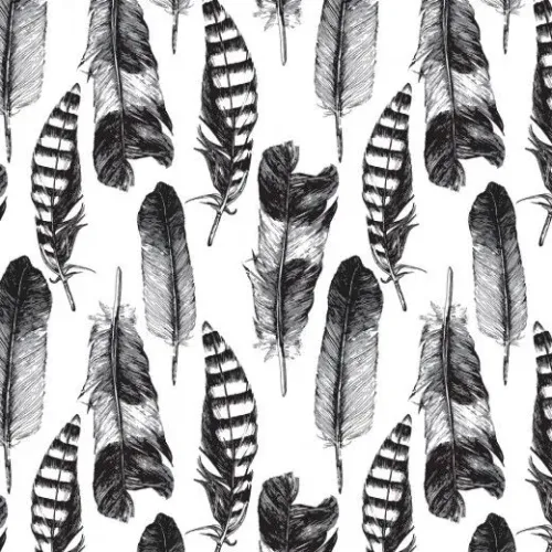 Papel de parede plumas - adesivo