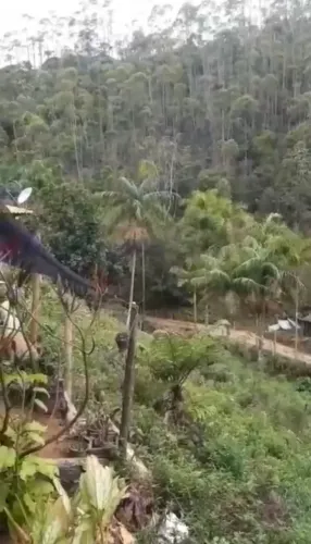 Vendo sítio em Alfredo Chaves 