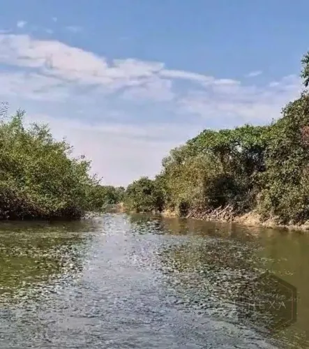 Chácara à venda Zona Rural - Mairipotaba/GO