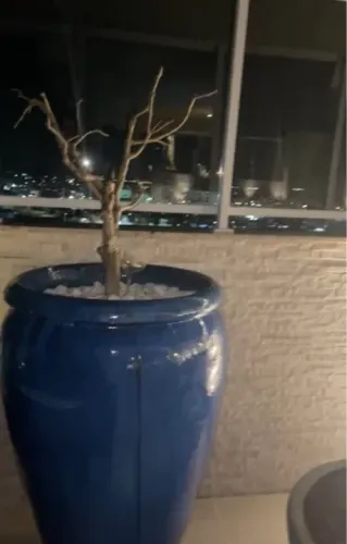 Vaso vietnamita original