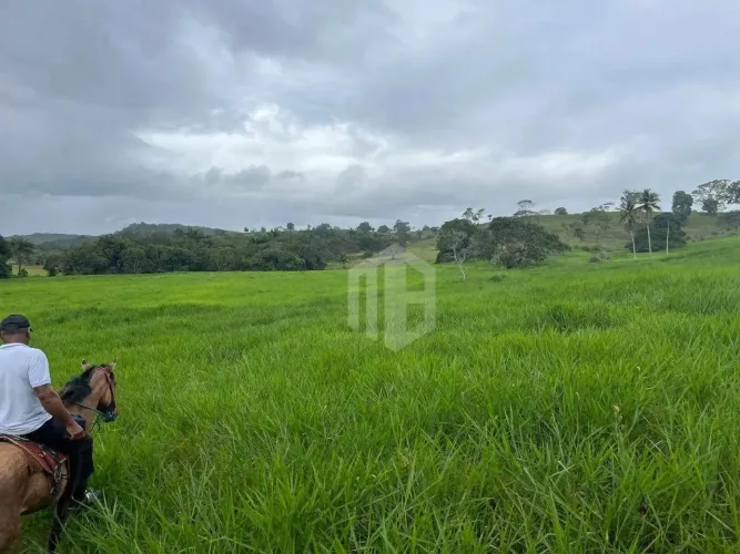 Fazenda à Venda em Catú, Bahia  182 Hectares com Rio e Aguadas!