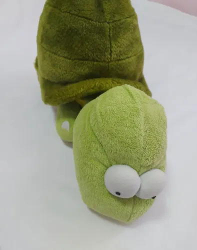 Pelúcia Tartaruga Verde com Olhos Grandes