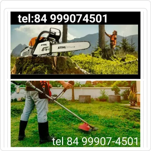 Poda limpeza de terreno baldio motosserra em geral.
