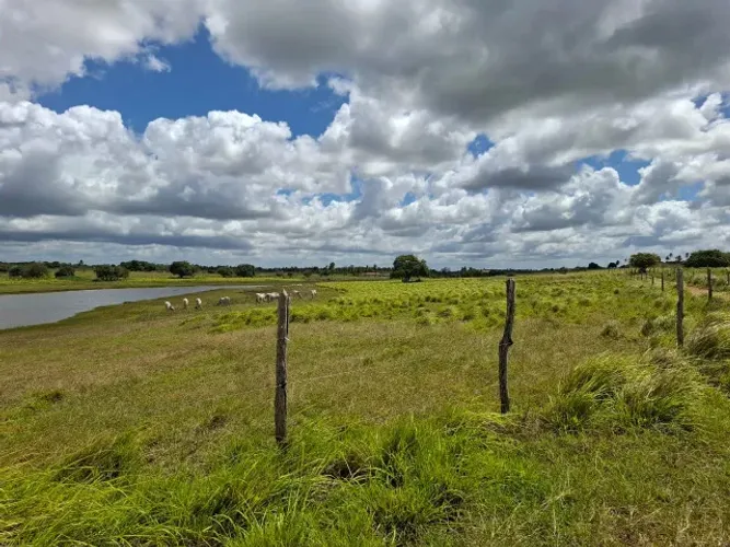 Excelente fazenda em Santo Antônio - RN, com 131 hectares, cerca elétrica, toda plana.