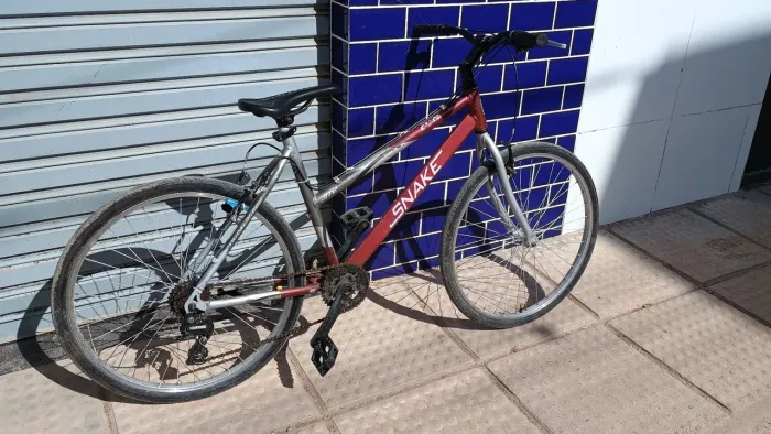 Bike Caloi snake