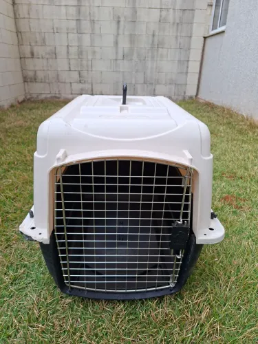 Caixa de Transporte para Cães e Gatos