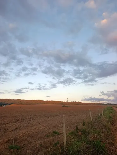 Vendo 97 hectares