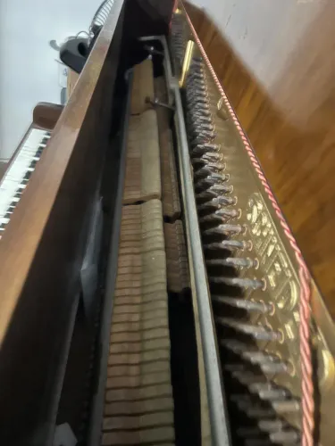 Piano schneider 