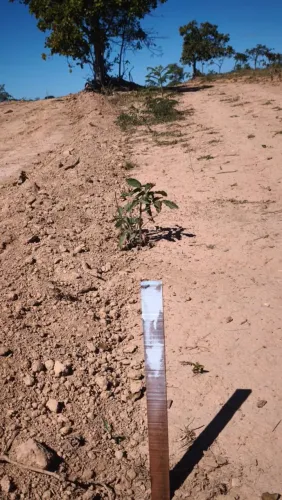 Vendo terreno localizado em morada nova, perto da represa de três Marias