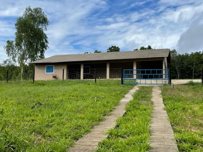 CHÁCARA EM HEITORAI GO - 8 ALQUEIRES - Estrutura Montada para "Leite"