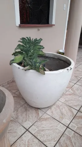 Vaso para plantas