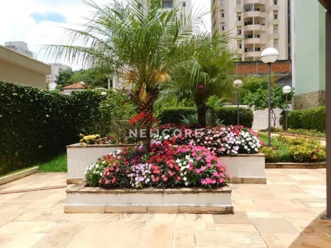Apartamento em Rua Doutor Nogueira Martins - Saúde - São Paulo/SP