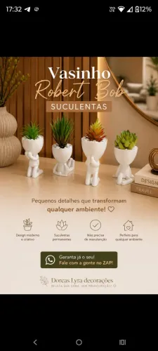 vasinhos decorativos robert bob com suculentas permanentes 