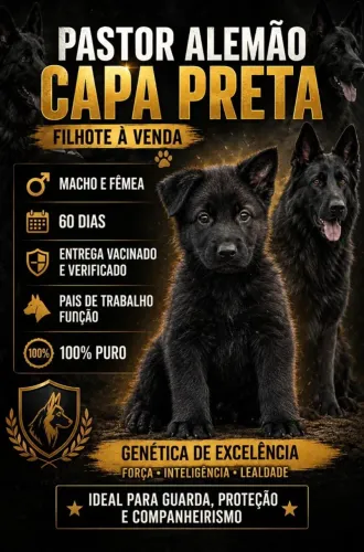 Partir Alemão Capa Preta 