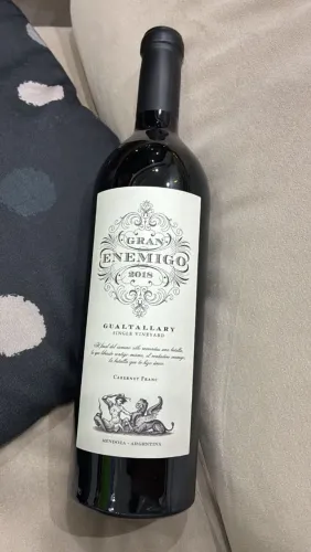 Vinho Gran Enemigo Gualtallary 2018 Cabernet Franc Ícone da Argentina