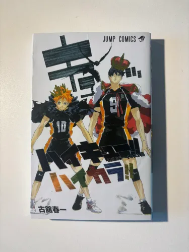 Art book haikyuu