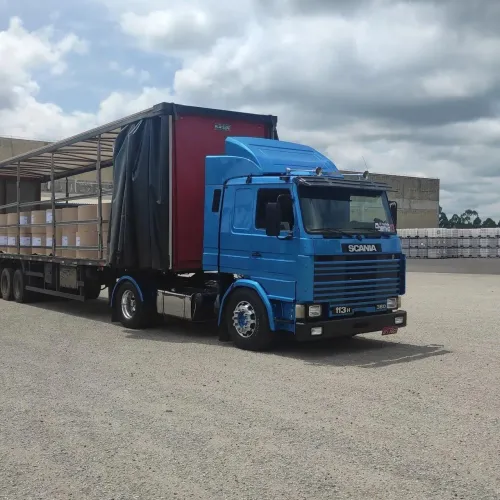 Scania 113 ano 95 toco caminhão feito a capricho como se fosse pra passeio