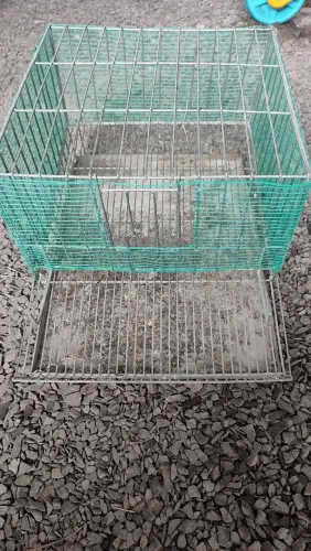 Gaiola de codorna pequena 30x30 com comedor e bandeja.