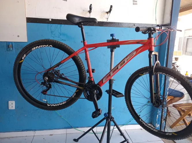 Bike ecos 29