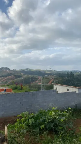 Oportunidade Que Cresce Rápido