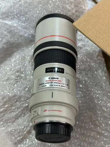Canon EF 300mm f/4L IS USM