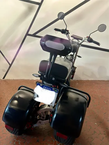 Triciclo elétrico eixo flexível 4000w