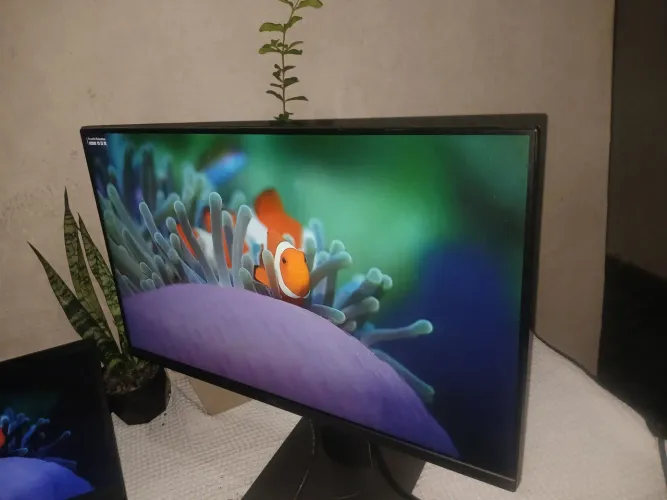 Monitor Dell Profissional P2319h