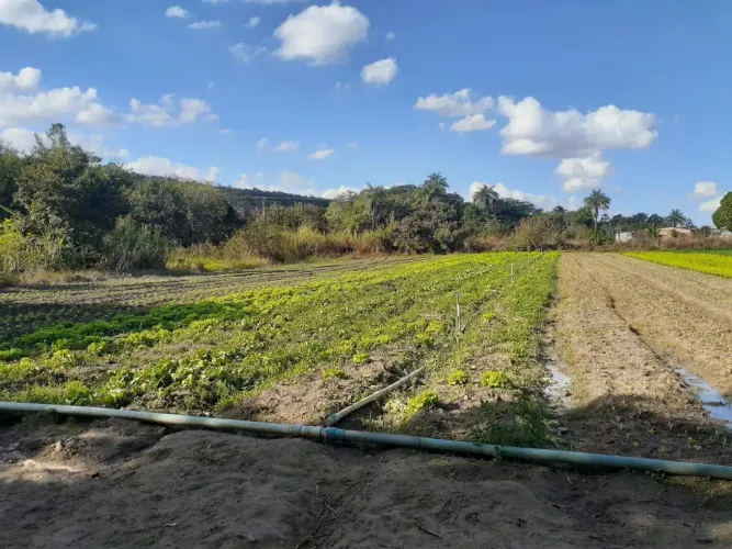 Chácara de 2 Hectares no Córrego do Atoleiro - Planaltina DF