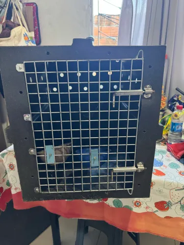 vendo caixa transportadora para cães (60cm x 47 cm)300,00