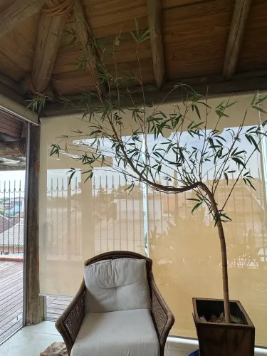 Bambu Mossô Artificial (tronco Natural)